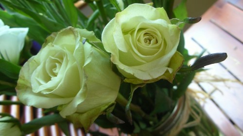 green roses for shavout